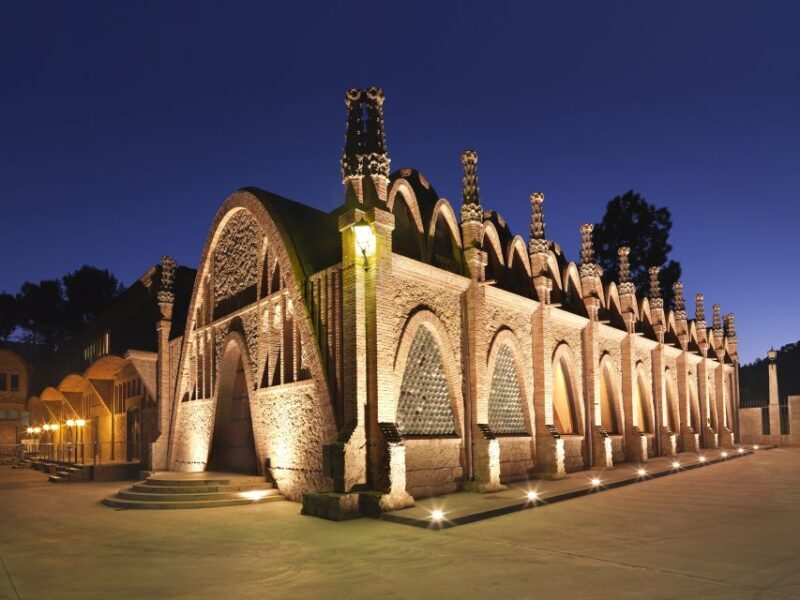 Penedès: Discovery Tour with Cava Tasting - What the Tour Offers: A Step-by-Step Breakdown