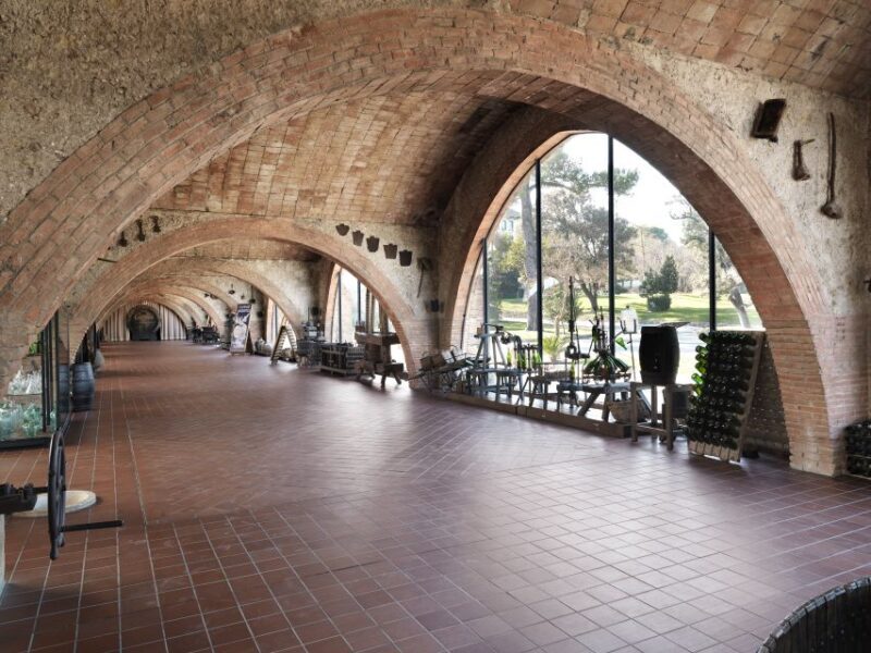 Penedès: Discovery Tour with Cava Tasting - The Sum Up: Worth Your Time and Money