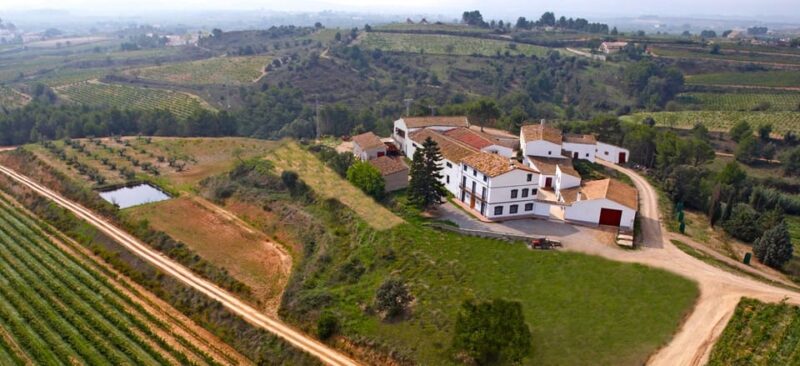 Penedes Wine Cellar Visit With Tasting From Barcelona - The Rich Wine Tradition of Spain