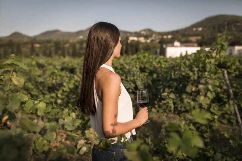 Penedes Wine Cellar Visit With Tasting From Barcelona - The Wine Tasting Experience