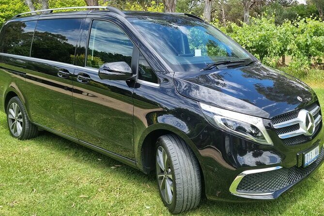 Penfolds and Hahndorf Shared Tour Wine Tasting and Lunch - A Closer Look at the Itinerary