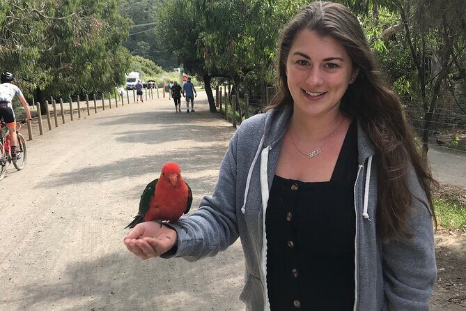 Penguin and Australian Animals Private Tour - Introduction to the Experience