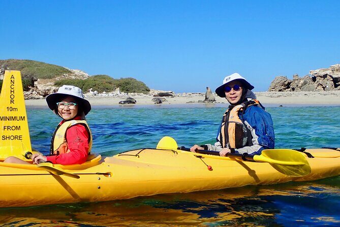 Penguin and Seal Islands Sea Kayaking Experience - FAQs