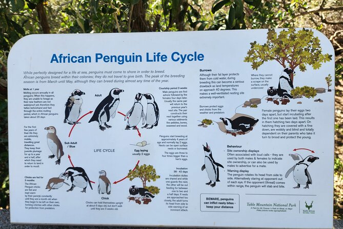 Penguin Encounter Boulders Beach Half Tour Day From Cape Town - Inclusions and Pricing