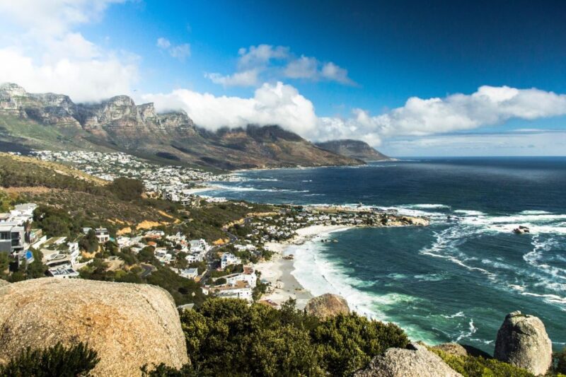 Penguin Half-Day Tour With Ticket Included (Join a Group) - Itinerary Highlights