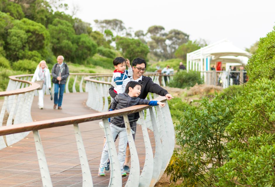 Penguin Parade: General Viewing Entry Ticket - Full Description