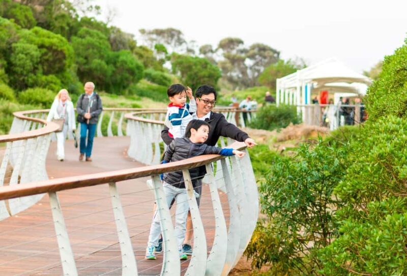 Penguin Parade: General Viewing Ticket - Real Travelers’ Perspectives