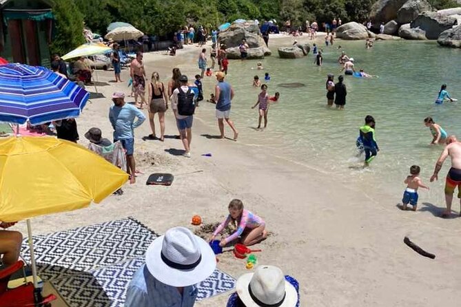 Penguin Watching & Beach Day at Boulders Beach, Cape Town - Practical Information for Visitors