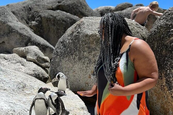 Penguin Watching & Beach Day at Boulders Beach, Cape Town - Comparison to Similar Experiences