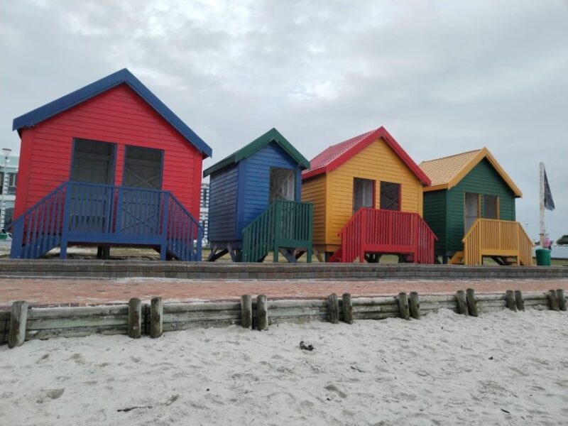 Penguins and Cape Point Group Tour From Cape Town - Tour Overview and Pricing