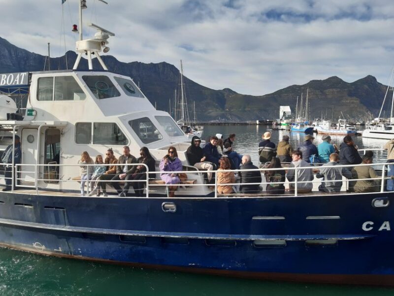 Penguins and Cape Point Group Tour From Cape Town - Important Information