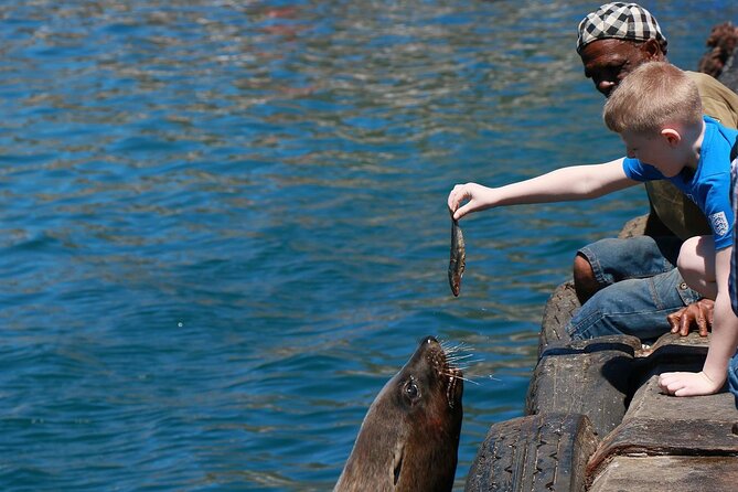 Penguins, Cape Point & Table Mountain. - Itinerary Overview