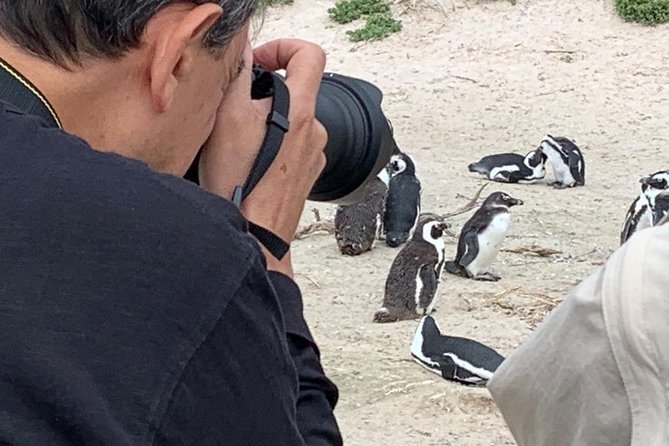 Penguins, Cape Point & Table Mountain. - Inclusions and Pricing