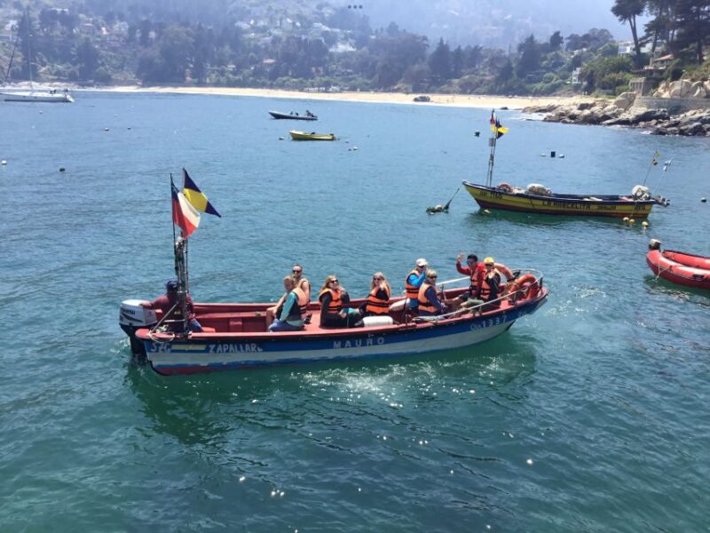 Penguins, Sea Lions, Sandboard, Chilean Food & Drinks - Key Points