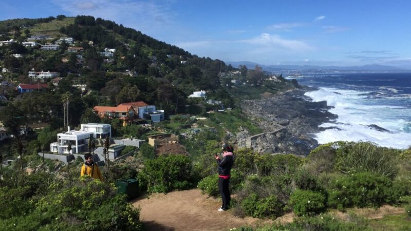 Penguins Watching Cachagua Island in Zapallar From Santiago - Itinerary Highlights