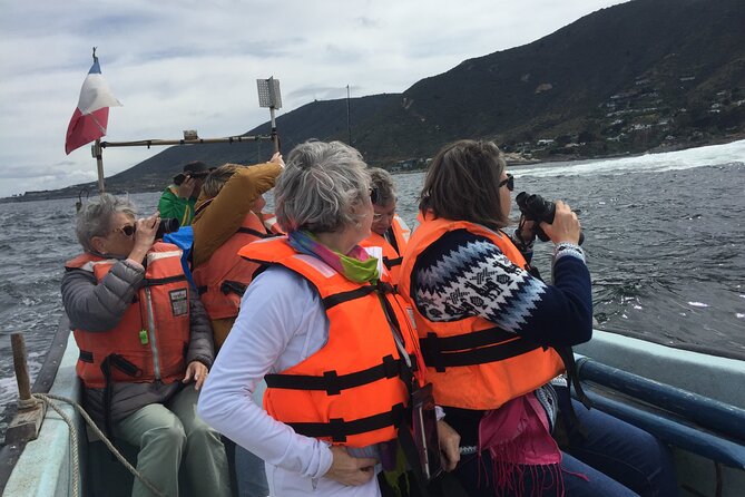 Penguins Watching-Navigation & HorseRide & Barbecue From Santiago - Isla Cachagua