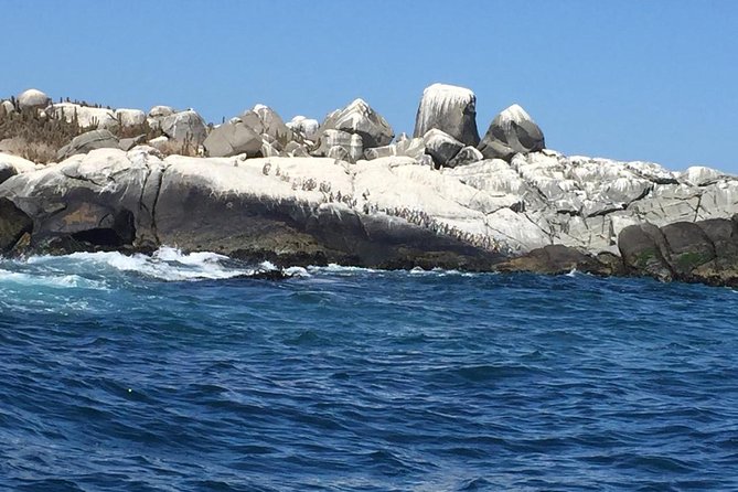 Penguins Watching-Navigation & HorseRide & Barbecue From Santiago - Pickup and Logistics