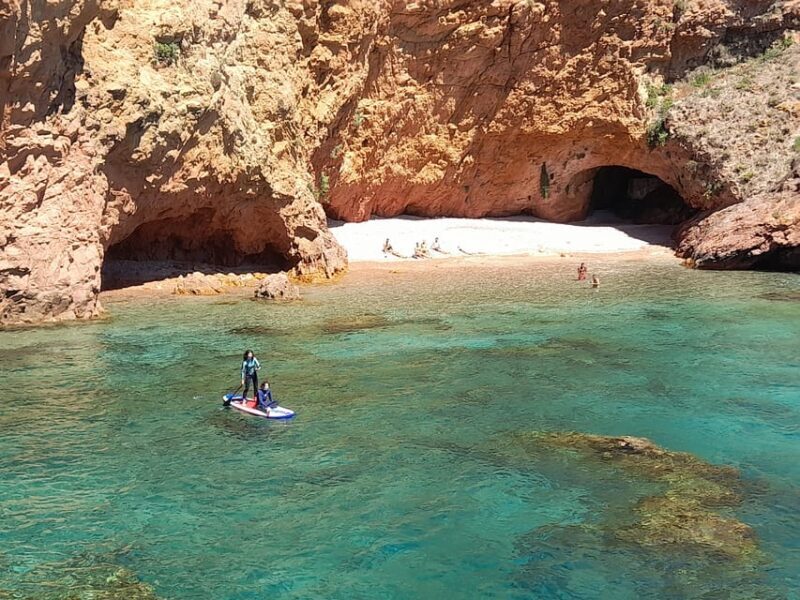 Peniche: Berlengas Island Catamaran Tour + Stand Up Paddle - Key Points