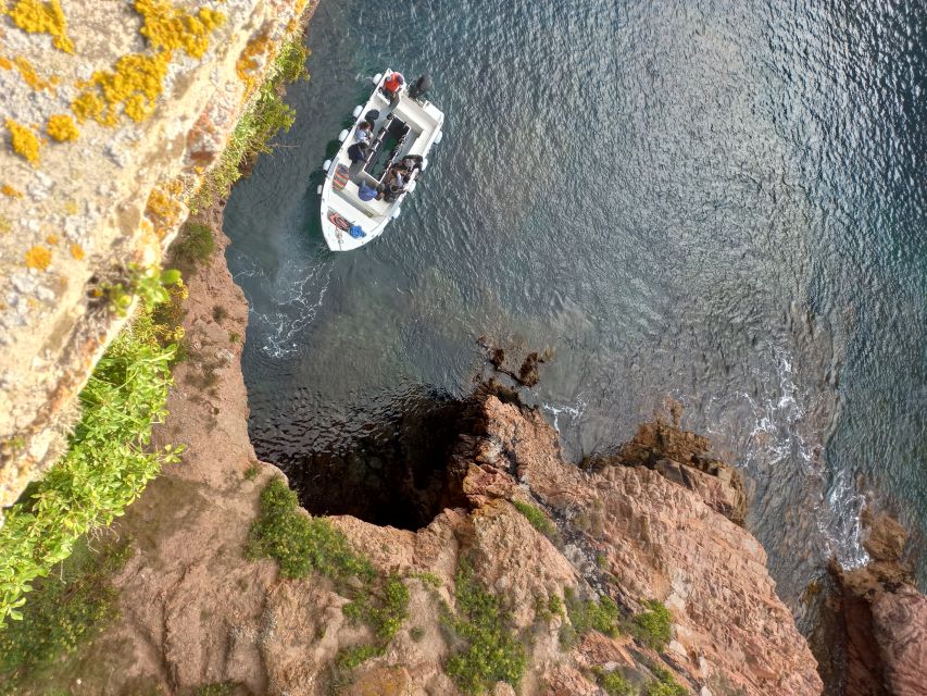 Peniche: Berlengas Roundtrip and Glass-Bottom Boat Cave Tour - Exploring Berlengas Island