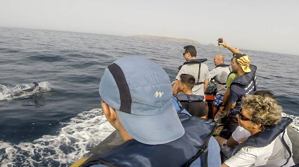 Peniche: Dolphin Route Boat Trip - Wildlife Viewing Expectations