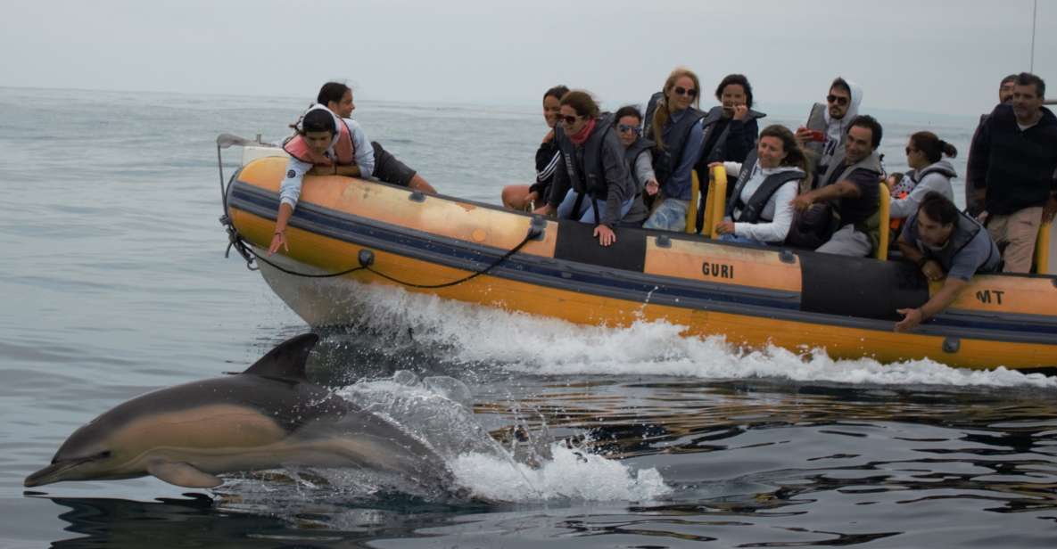 Peniche: Dolphin Route Boat Trip - Tips for a Great Trip