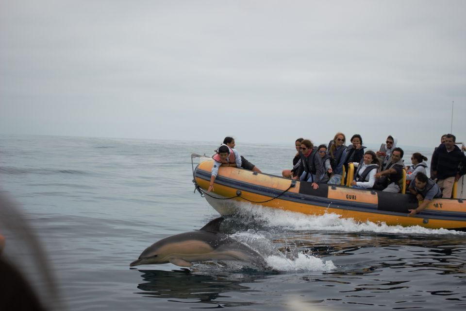 Peniche: Dolphin Route Boat Trip - Frequently Asked Questions