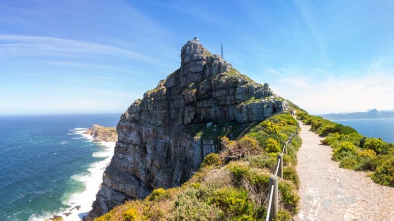 Peninsula Day Tour: Cape Point, Penguins & Table Mountain - Inclusions and Fees
