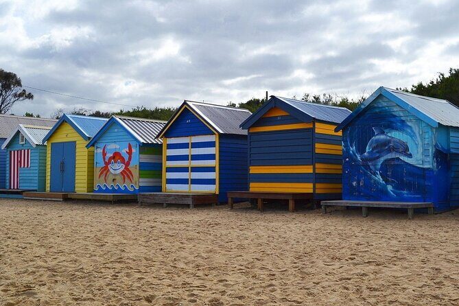 Peninsula Nature Tour - Introduction