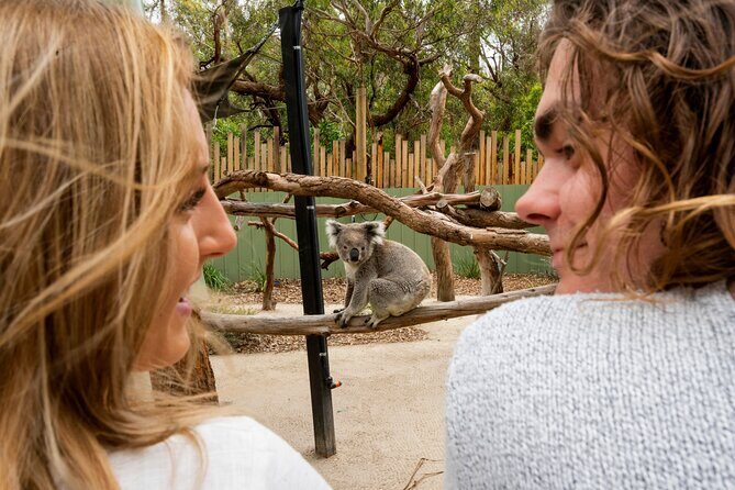 Peninsula Nature Tour - The Sum Up