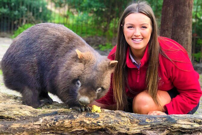 Peninsula Nature Tour - FAQs