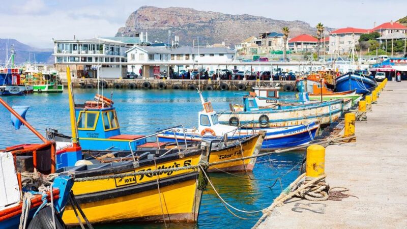 Peninsula Tour: Full Day Cape Point and Penguin Beach - Hout Bay and Seal Island