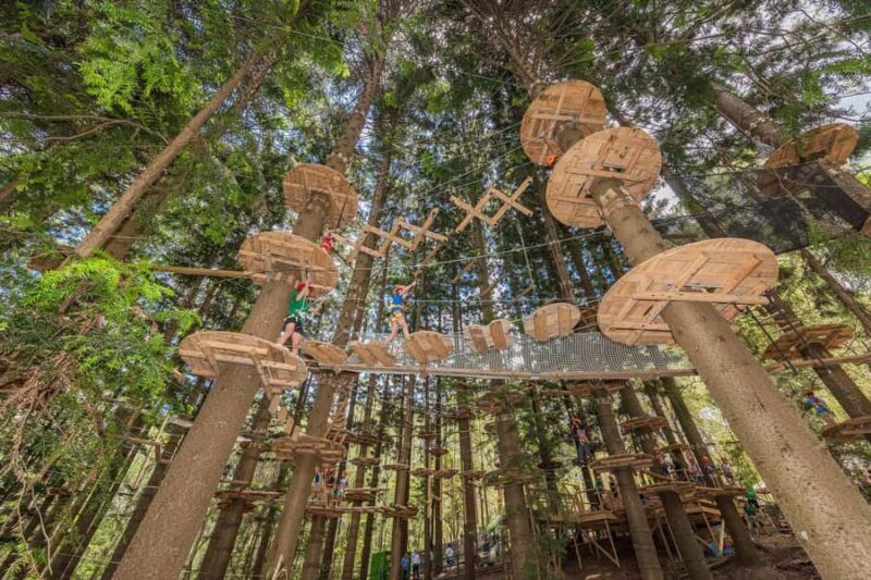 Pennant Hills: Tree Ropes Course Session - The Review Roundup