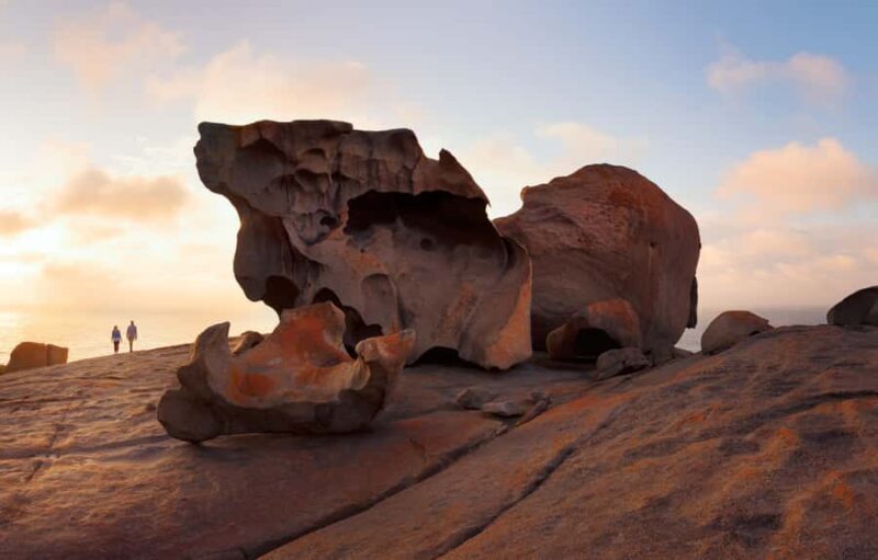 Penneshaw: Shore Excursion Kangaroo Island Scenic Tour - Who Should Consider This Tour?