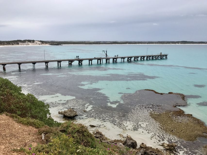 Penneshaw: Shore Excursion Kangaroo Island Scenic Tour - Tour Highlights