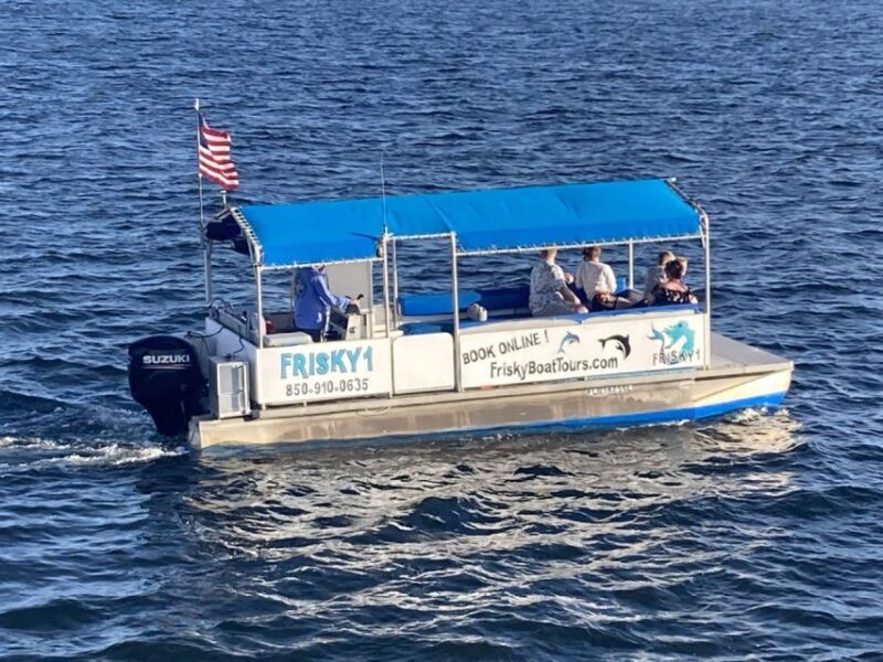 Pensacola Beach Sunset Dolphin Tour private up to 6 ppl - Key Points