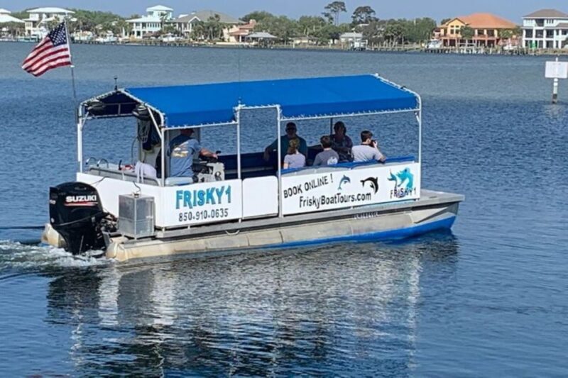 Pensacola Beach Sunset Dolphin Tour private up to 6 ppl - Who Will Enjoy This Tour?