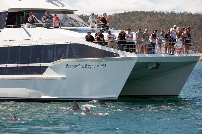 Peppermint Bay Cruise & Lunch - A Complete Look at the Peppermint Bay Cruise & Lunch Experience