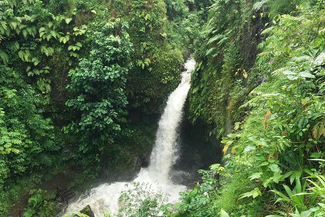 Pepper's 4-Hour Special - Exploring Peppers 4-Hour Special: An Authentic Taste of Dominica
