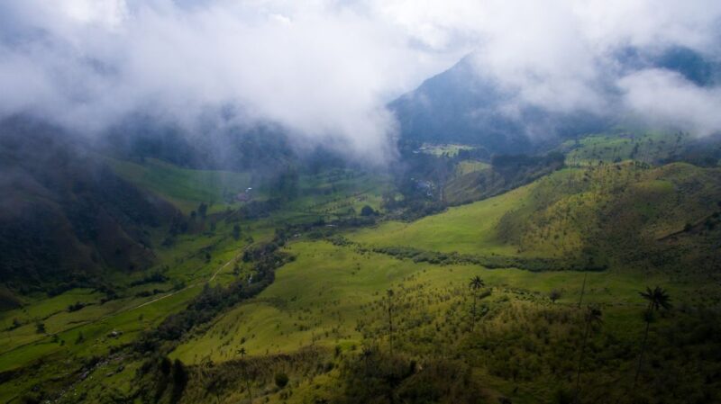 Pereira/Armenia: Private Cocora Valley & Salento Hiking Tour - Customer Reviews and Ratings