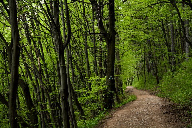 Perfect bike tour around Brasov - Perfect bike tour around Brasov