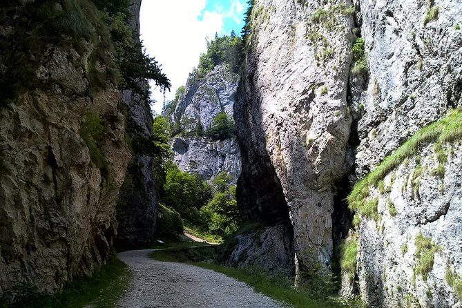 Perfect bike tour around Brasov - Who will love this experience?