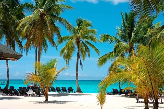 Perfect Day at Saona Island by Speedboat - Completely Private - Key Points