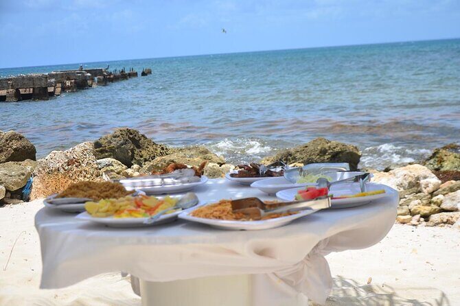 Perfect Day at Saona Island by Speedboat - Completely Private - Who is this tour best for?