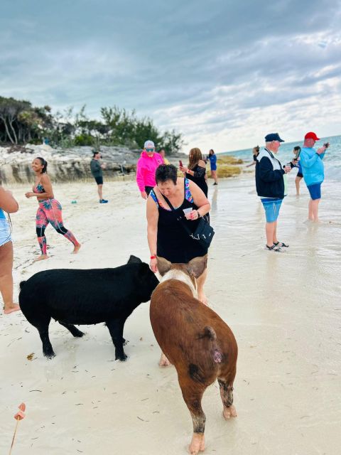 Perfect Day - Swimming Pigs, Snorkel & Beach Club - Not Suitable For