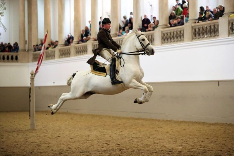 Performance Of The Lipizzans At Spanish Riding School - Who Will Love This Tour