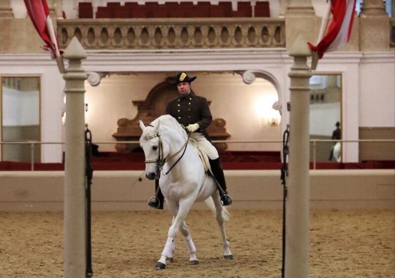 Performance Of The Lipizzans At Spanish Riding School - Final Thoughts