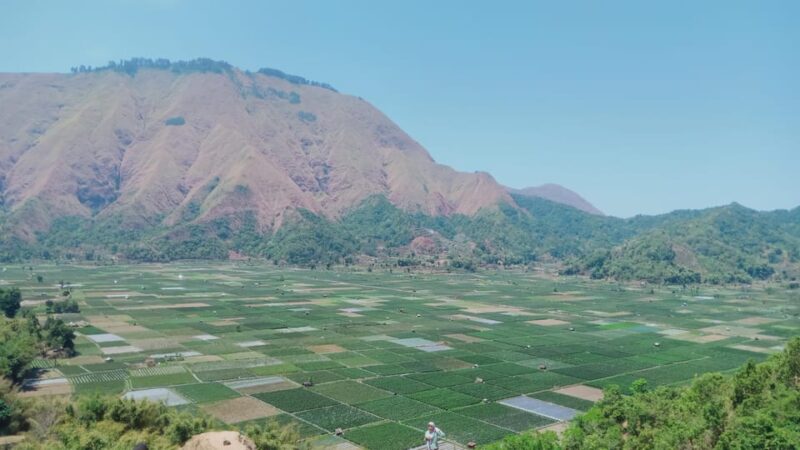Pergasingan Hill Trek: Unveiling the Beauty of Sembalun - Participant Requirements