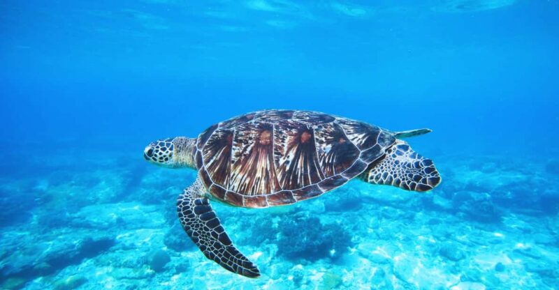 Perhentian Islands, Terengganu From Kuala Lumpur 4D3N - Pricing Details