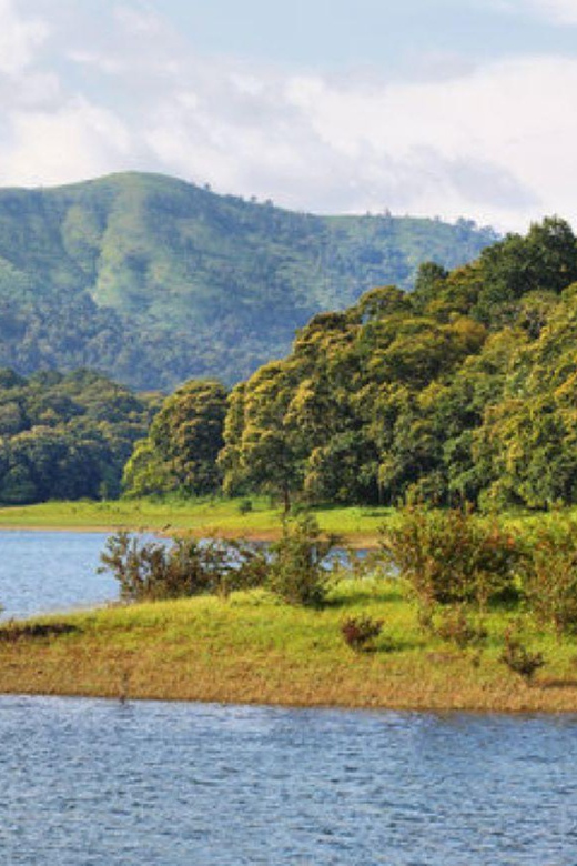 Periyar Wildlife Sanctuary Tour (02 Nights / 03 Days) - Itinerary Highlights