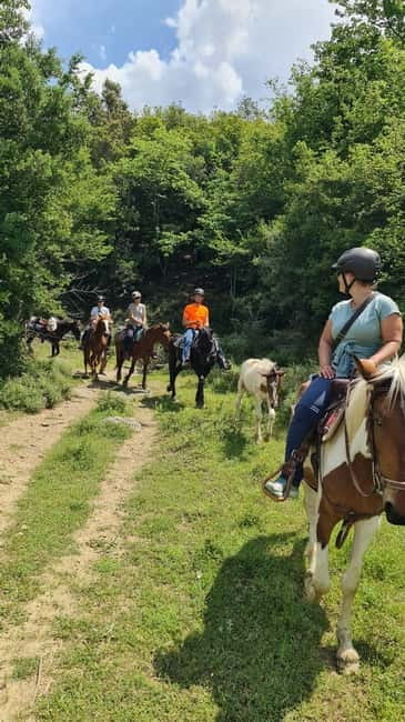 Përmet: Amazing Horse Riding Experience at Vjosa NP - FAQ
